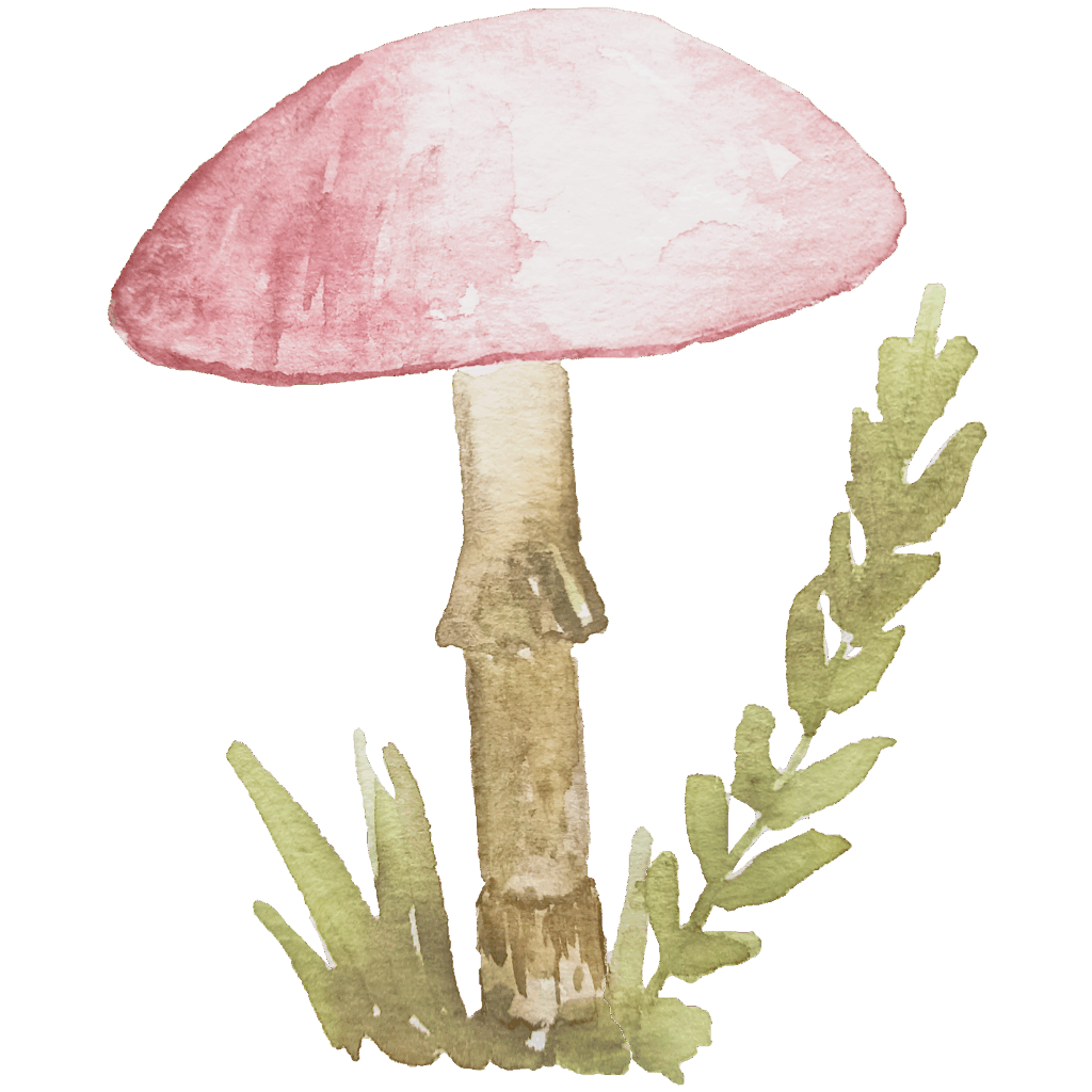 watercolor mushroom 07